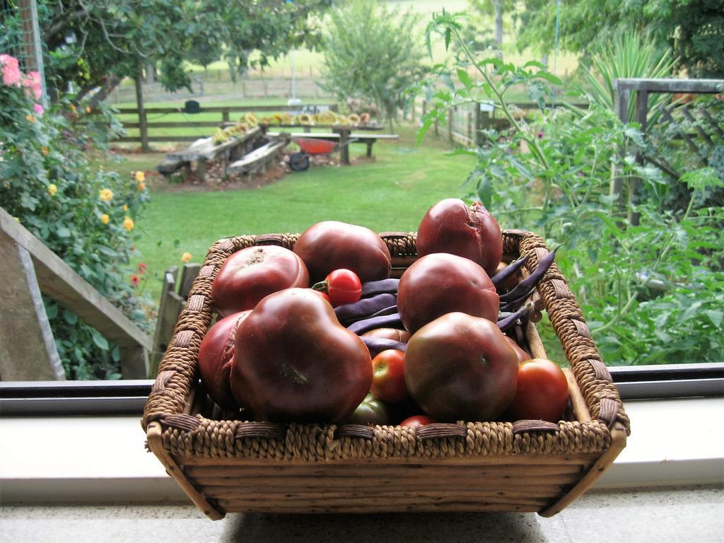 Miranda Orchard Cottage ภายนอก รูปภาพ
